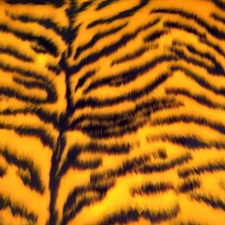 Gold Tiger Jacquard Fur Fabric - R2 Quality