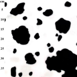 Black & White Cow Print Premium Anti-Pill Polar Fleece Designs Fabric