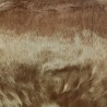 Antelope Standard Short Pile Faux Fur Fabric